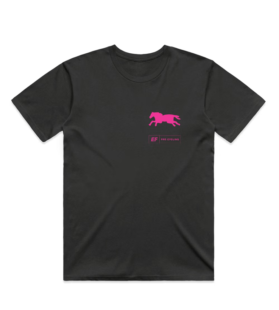 A-Pony-Express-26-Dispatched_Coal